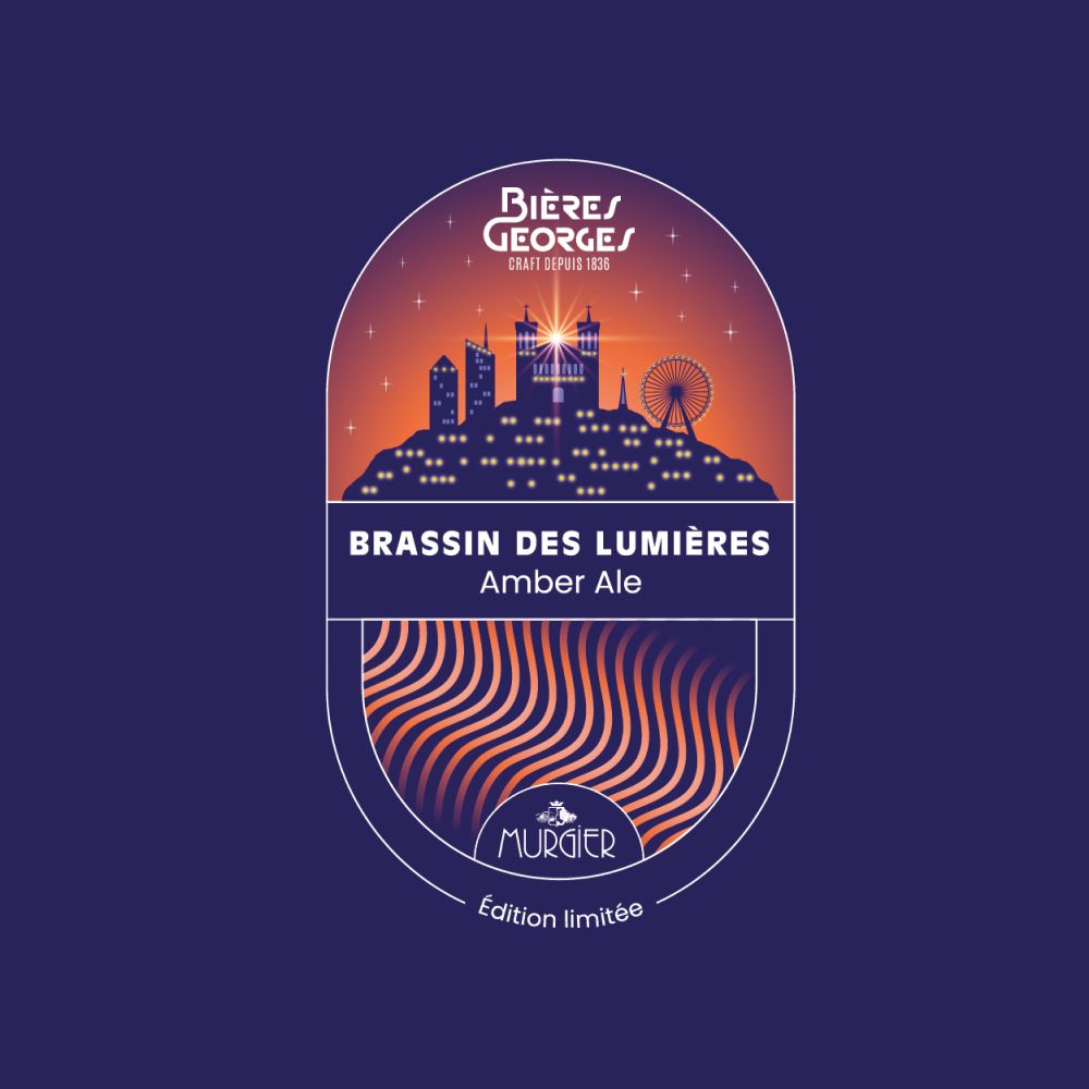 Brassin des lumieres cover image